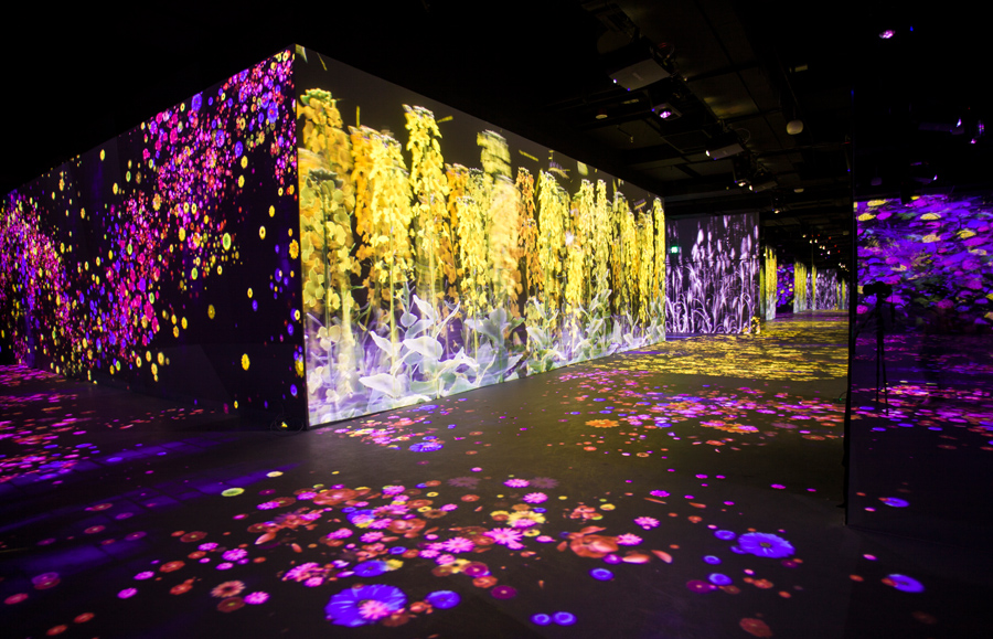 【长春站】"黑图视界"大型沉浸式光影艺术空间